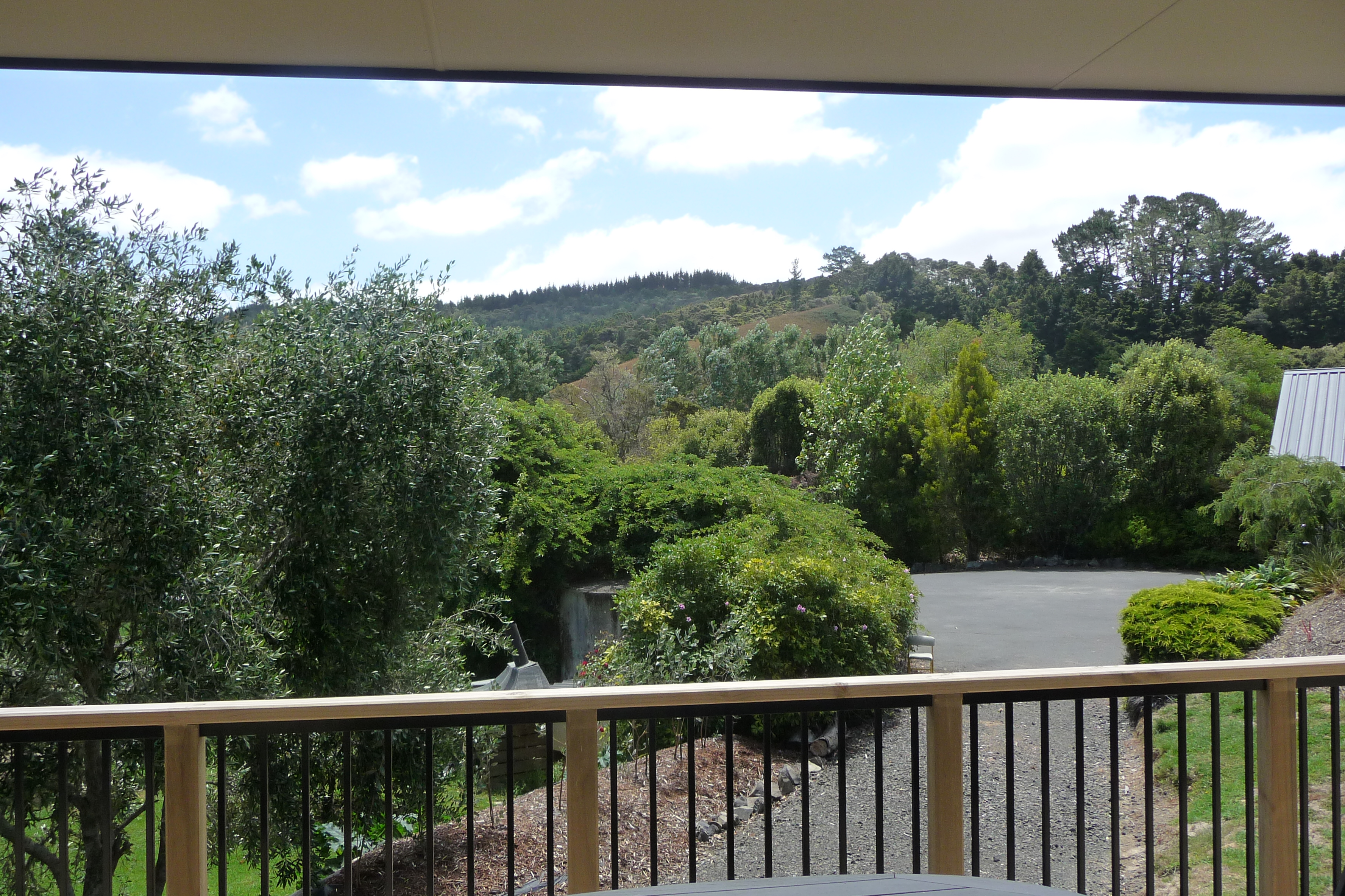 nz