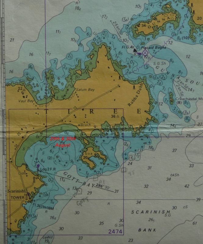 tiree