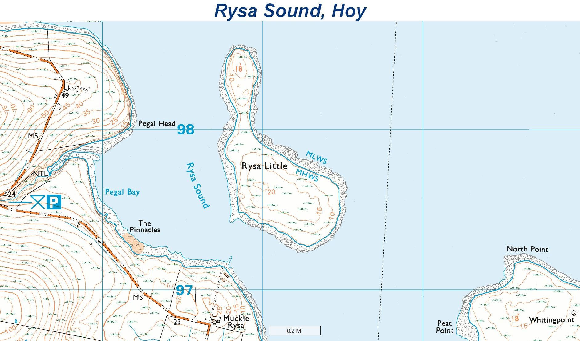 rysa